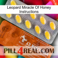 Leopard Miracle Of Honey Instructions 42